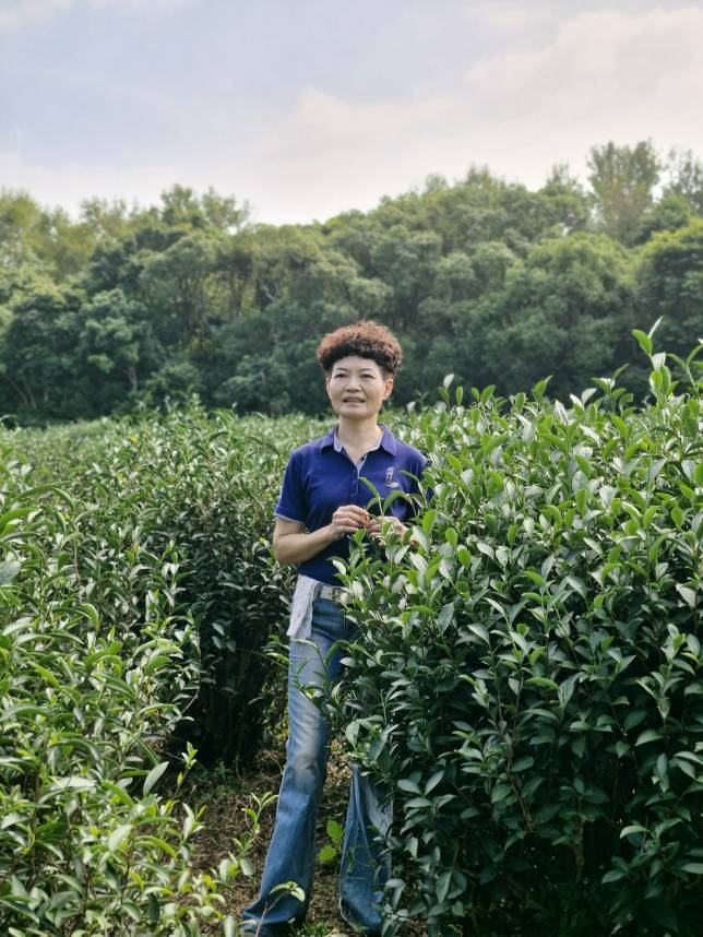 ״לשחרר את התה״: הפילוסופיה מאחורי תה&nbsp;פראי